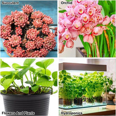 Coarse-Grained Clay Granules, Expanded Clay Granules, Plant Granules, Expanded Clay 1L Hydroponic Planting Substrate, 5-8mm Granulation Clay Granules