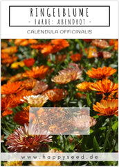 Calendula seeds (Calendula officinalis) - Versatile medicinal plant with edible flowers and ideal for a colorful flower meadow (Abendrot)