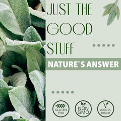 Mullein leaf extract, 30 ml, alcohol-free Arome Naty Shop