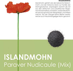 Iceland Poppy Seed Mix (Papaver nudicaule) - Beautiful flowering poppies with a long flowering period for a colorful flower meadow (Iceland Poppy)