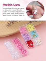 Kalolary Flori Nail Art Talismani, Flori Acrilice 3D pentru Unghii Ornamente Florale cu Cinci Petale Pietre PreÈioase pentru Unghii Strasuri pentru Unghii MÄrgele Metalice Mixte pentru Design Nail Art DIY ConfecÈionarea Bijuteriilor (2 Cutii)