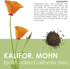 California Poppy Seed Mix (Eschscholzia californica) - Beautiful flowering poppies with a long flowering period for a colorful flower meadow (California Poppy)