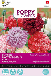 Poppy flowers Buzzy Mac Paeoniflorum Gef. Mix.