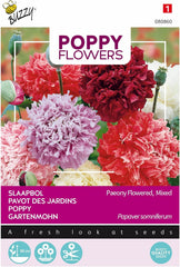 Poppy flowers Buzzy Mac Paeoniflorum Gef. Mix.