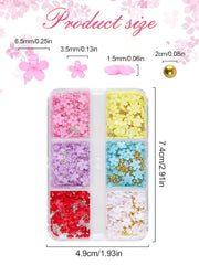 Kalolary Flori Nail Art Talismani, Flori Acrilice 3D pentru Unghii Ornamente Florale cu Cinci Petale Pietre PreÈioase pentru Unghii Strasuri pentru Unghii MÄrgele Metalice Mixte pentru Design Nail Art DIY ConfecÈionarea Bijuteriilor (2 Cutii)