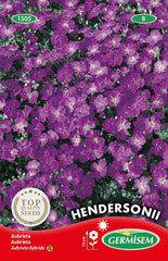 Blaukissen, Mehrfarbig, EC1505 & Steinkraut Alyssum, Mehrfarbig, EC1501