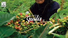 CAFES GUILIS DESDE 1928 AMANTES DEL CAFÉ - Cafea boabe Arabica decofeinizată 1 Kg Cafea Naty Shop