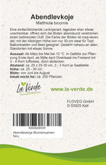 Evening primrose seeds