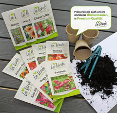 La Verde GRĂDINA MEA ȘI EU. Semințe de mac californian 'Poppy Orange' pentru aprox. 250 de plante, mac californian, semințe cu înflorire îndelungată, non-OMG