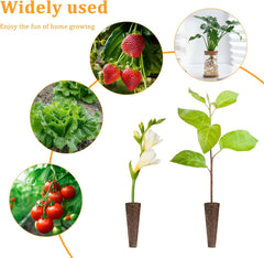 50 Hydroponic Grow Sponges, Hydroponic Seedling Sponges, Root Growing Sponge Plugs, Suitable for Various Kinds of Buds, Such as Tomato, Strawberry, Mint