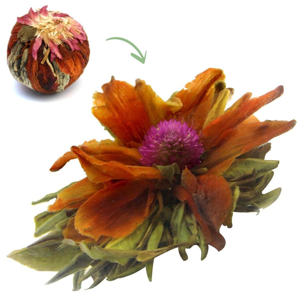 Ceai de flori âCoroana gustuluiâ 1 bucatÄ 6 g | Ceai verde - floare de crin - floare de lichi | Ceai selectat | Green Tea Flowers | Ideal pentru iubitorii de ceai