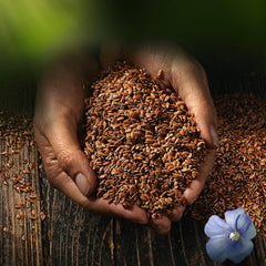 Biocentral whole flax seeds | 7 x 400g organic flax seeds | Ideal for yogurt, muesli and bread | Alternative to psyllium, hemp seeds and chia seeds