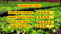 New York Coffee - EXTRA P - Boabe de cafea, gust puternic și hotărât, boabe Arabica și Robusta, pentru măcinare, espresso italian, amestec de bar - calitate superioară din 1930 - 1 kg, boabe