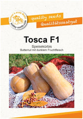 Tosca F1 KĂŒrbissamen Von Bobby-Seeds, Portion