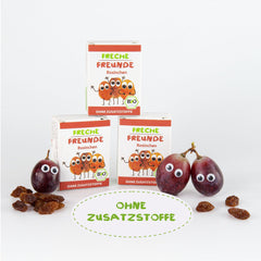 FRECHE FREUNDE Organic Raisins, Trockenfrüchte ohne Zucker, ohne Zusatzstoffe, ungeschwefelt, in kleinen Snackboxen, Sultaninen für Kinder, 20er Pack, 20 x (3x14g)