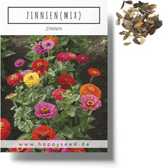 Zinnia seed mix (Zinnia) - Colorful summer flowers for the garden bed, balcony, terrace and as cut flowers in vases