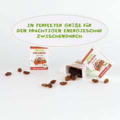 FRECHE FREUNDE Organic Raisins, Trockenfrüchte ohne Zucker, ohne Zusatzstoffe, ungeschwefelt, in kleinen Snackboxen, Sultaninen für Kinder, 20er Pack, 20 x (3x14g)