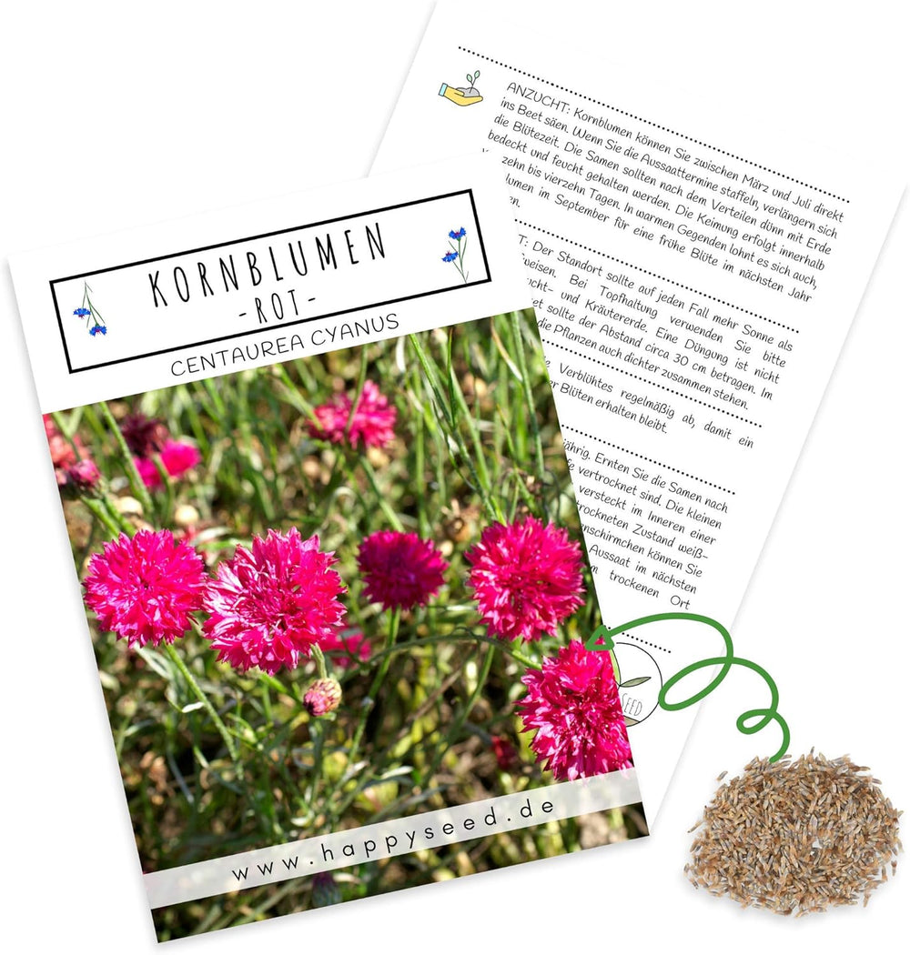 Kornblumen Samen (Centaurea Cyanus) - Wunderschön Leuchtende Blumen Mit Langer BlĂŒtezeit FĂŒr Eine Bunte Blumenwiese (Rot, 1000 Korn, 80 Cm)