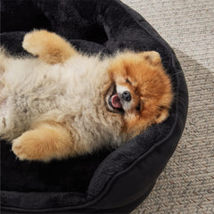 Paturi, cuverturi & mobilier, animale de companie, pisici, paturi pisici, Pisici - culcusuri, saltele