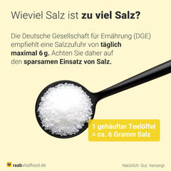Raab Vitalfood Kalium salt-Mischung, Mineralsalzmischung mit 66.7% Natriumchlorid (Kochsalz) und 33% Kaliumchlorid, Kalium trägt zur Aufrechterhaltung eines normalen Blutdruck bei (1 x 200 g Dose)