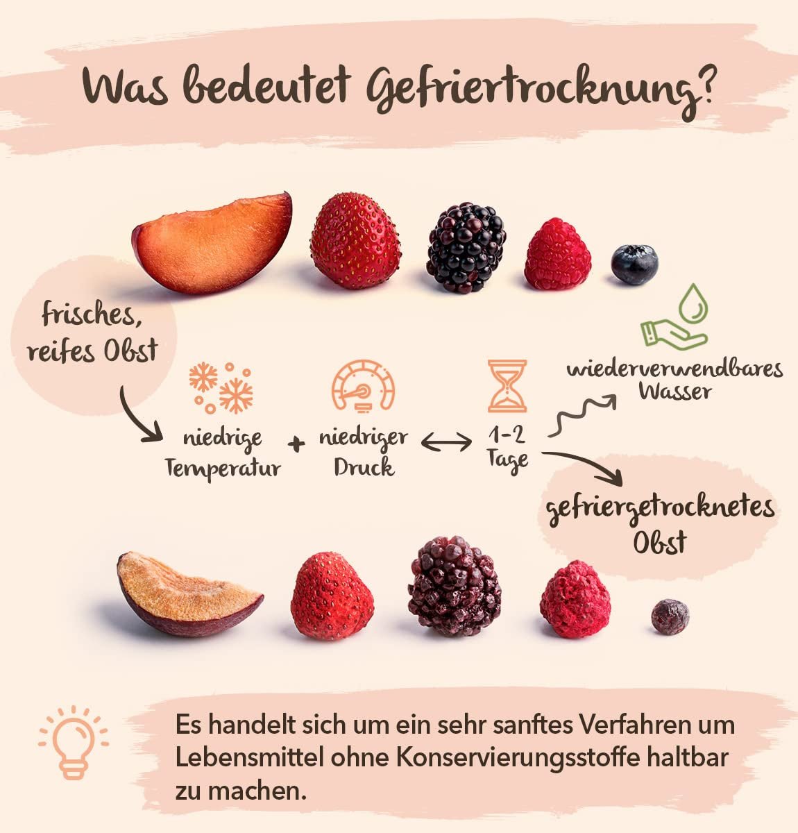 BRIX Ananas liofilizat | Natural, ananas uscat 95 g | Great Taste Award fructe uscate, ananas liofilizat | Fără OMG, fără gluten, vegan, vitamine reținute Produse deshidratate Naty Shop