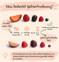 BRIX Ananas liofilizat | Natural, ananas uscat 95 g | Great Taste Award fructe uscate, ananas liofilizat | Fără OMG, fără gluten, vegan, vitamine reținute Produse deshidratate Naty Shop