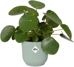 Elho Vibes Fold Rund 14 Pflanzentopf - Blumentopf Für Innen - 100% Recyceltes Plastik - Ø 14.1 X H 12.9 Cm - Grün/Sorbet Green