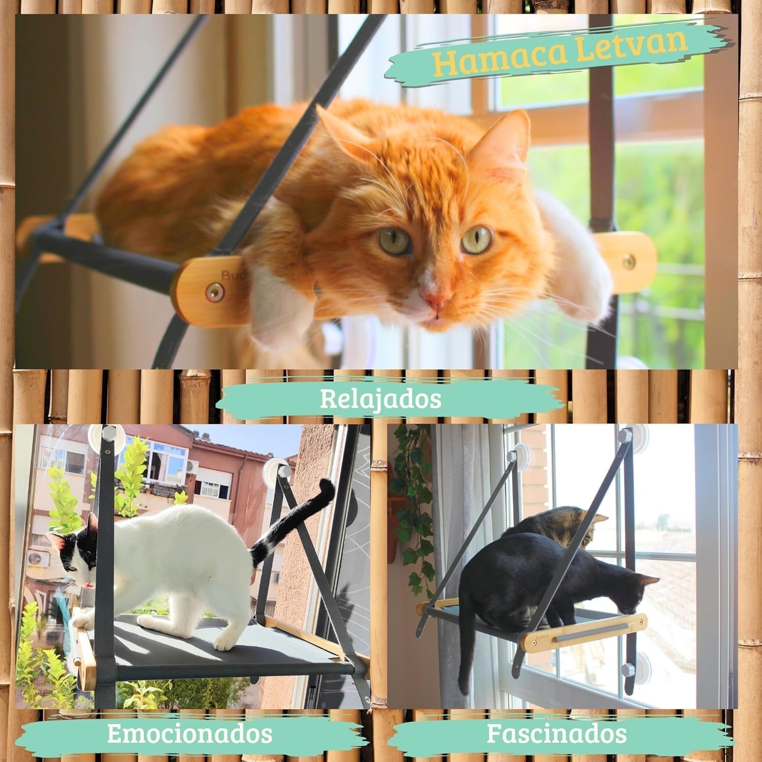 Șezlong pentru pisici - Pat pentru pisici la fereastră - Hamac pentru pisici - Hamac pentru pisici - Hamac pentru pisici - Hamac pliabil pentru pisici 54 cm - Lemn masiv