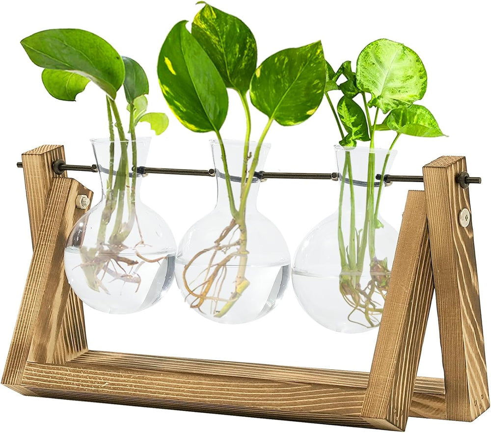 Stație de propagare hidroponică Bamworld cu suport din lemn – 3 vaze din sticlă pentru creșterea plantelor acvatice și decorarea casei