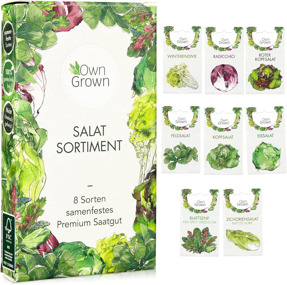 Lettuce Seeds: Set of 8 Varieties of Salad Seeds for the Garden and Balcony - Lettuce Seeds, Mustard Leaf, Lamb's Lettuce (Hardy), Radicchio, Endive Seeds, Chicory - Salad Vegetable Seeds from OwnGrown