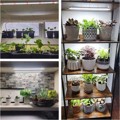 Wiaxulay Full Spectrum LED Plant Lamp 6000K Full Spectrum Indoor Plant Grow Lights with 6/12/16 Hours Timer 5 Levels Adjustable for Hydroponic Succulents Plant Shelf 2pcs