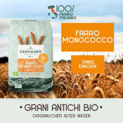 Organic Penne Rigate Pasta N.91 - 500g Low-fat wheat pasta - Source of fiber and protein