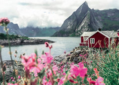 Ravensburger Puzzle Locuri scandinave 16740 - Reine, Lofoten, Norvegia - puzzle jigsaw de 1000 de piese pentru adulți și copii de peste 14 ani Puzzle Naty Shop Design vechi