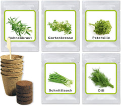 Magic of Nature Oma's Küchenkräuter Box - Anzuchtset - 5 Sorten frische Kräuter Samen - Zum Selberzüchten oder zum Verschenken