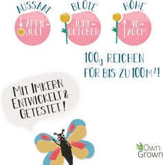 Butterfly Meeting Flower Mix: 100g Premium Butterfly Flower Seeds - Insect Friendly Bee Seeds, Perennial and Annual Flower Seeds for Meadows - Wildflower Seeds from OwnGrown