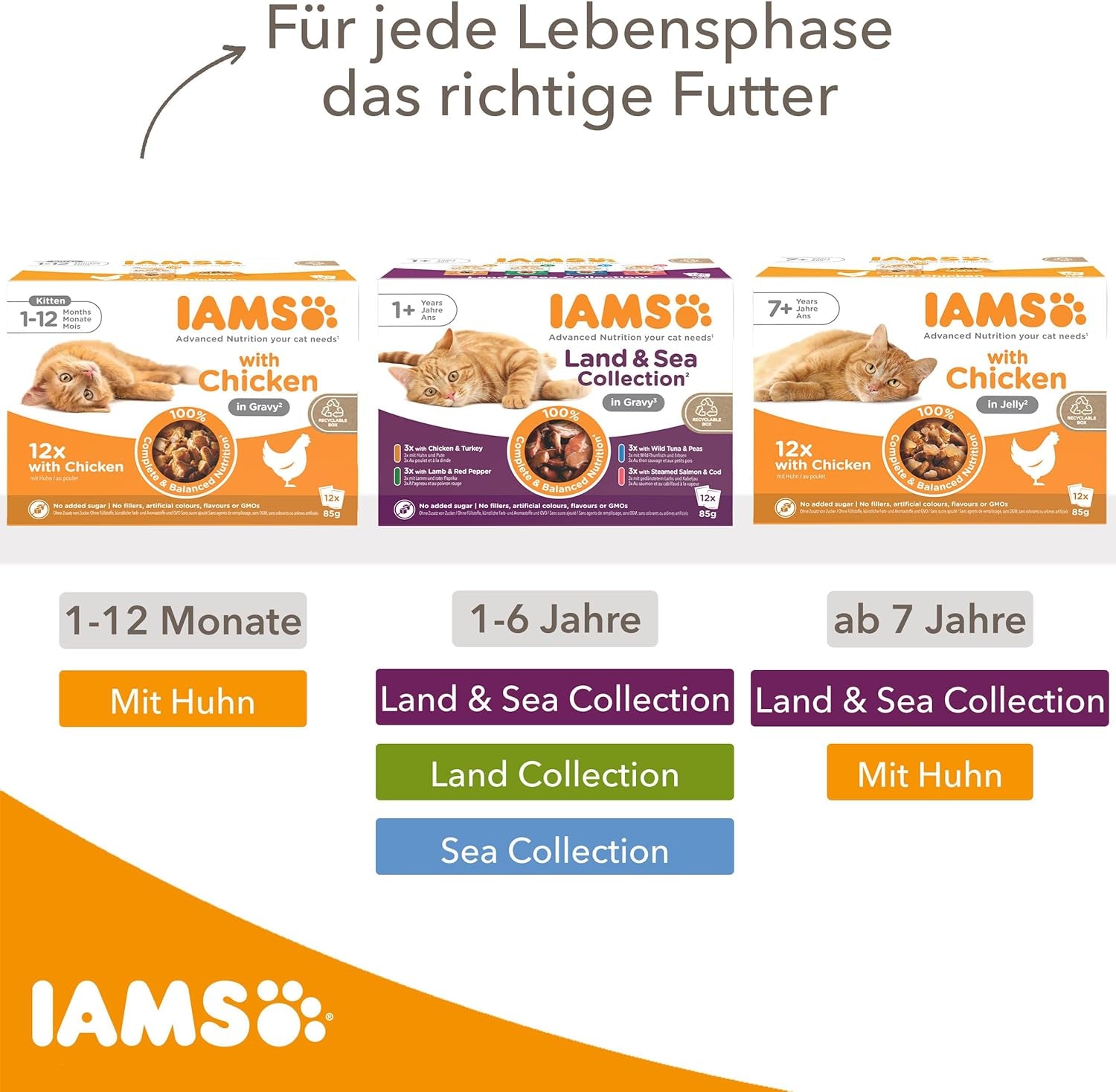 IAMS Delights Kitten Hrană umedă - Multipack Hrană pentru pisici cu pui în sos, hrană de înaltă calitate pentru pisoi junior de la 1-12 luni, 12 X 85G