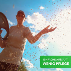 Magic of Nature Flower Seed Mix - Bee Paradise - 1 kg - Easy to use - Flowering bee pasture - Sowing tips - For 300 to 500 m²