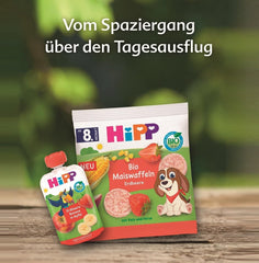 Pungă de fructe stoarcabilă HiPP Organic cu căpșuni și banane în culoarea mărului - Theo Tukan (8 x 100g), de la 1 an, piure de fructe 100%, fără zahăr adăugat, vegan, de cea mai bună calitate organică