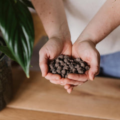 Westland Clay Granules, 5 L - Granules for plants ideal for hydroponics, drainage substrate without chemical additives, for indoor and outdoor use