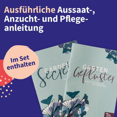 Magic Garden Seeds - Central European Medicinal Plant Seed Set - 12 Traditional Varieties of Popular Medicinal Plants - Heirloom Varieties - Garden Accessories - Plant Seeds - Gift for Garden Lovers