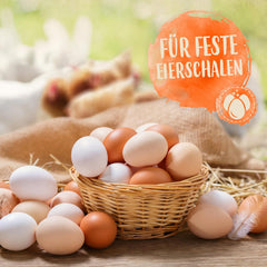 Ida Plus - GoldenEgg 200 ml - reduced Brucheier & Federfressen - supported Federwachstum & Federkleid - Wichtige Mineralien & Vitamine für Hühner - Beste Eierqualität bei Ihrer Hühnerhaltung