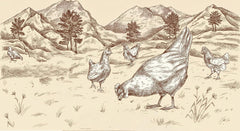 BioGourmet ribbon noodles with Schüttelbrot from South Tyrol (PGI) | Salted and flavored egg noodles with genuine speck from South Tyrol | 1 x 250g Bio