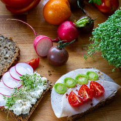 Microgreens Samen Set Von Owngrown - 8 Sorten BIO Sprossen Und MikrogrĂŒn Saatgut Im Microgreens Starter Set - Alfalfa, Rucola, Kresse FĂŒr Kresse Anzuchtschalen Uvm - Sprossen Samen
