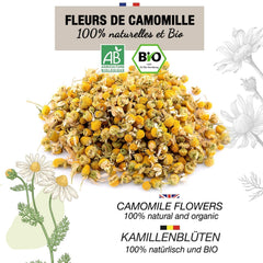 ORIGEENS Ceai organic din flori de mușețel din Europa, 100 g | Frunze de ceai vrac, ceai organic pentru somn și digestie | Mușețel german | Certificat și ambalat în Germania