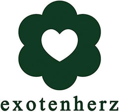 Exotenherz - Bonsai Chinesische Ulme - Ulmus Parviflora - Ca. 6 Jahre