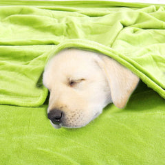 Sourcing Map Cozy blanket bedspread Soft & warm fleece blanket as a sofa blanket Sofa blanket Living room and cuddly blanket Woolen blanket soft velvet plush apple green 150X200Cm Beds and Blankets uxcell