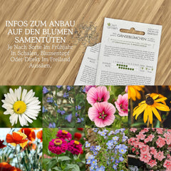 Flower seeds for the garden and balcony: 10 varieties of premium flower seeds as a plant seed set - balcony flower seeds - wildflower seeds for the balcony and garden from OwnGrown