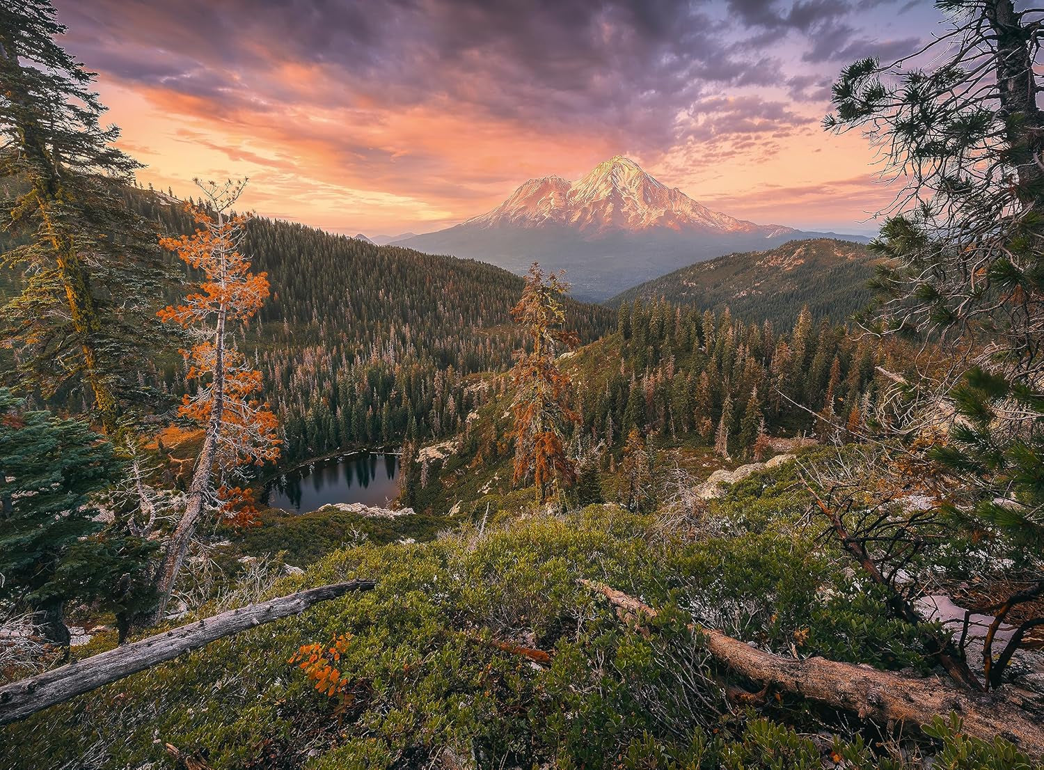 Ravensburger Puzzle - 4 Seasons - 4X 500 piece jigsaw puzzle for adults and children aged 12+ Puzzle Naty Shop