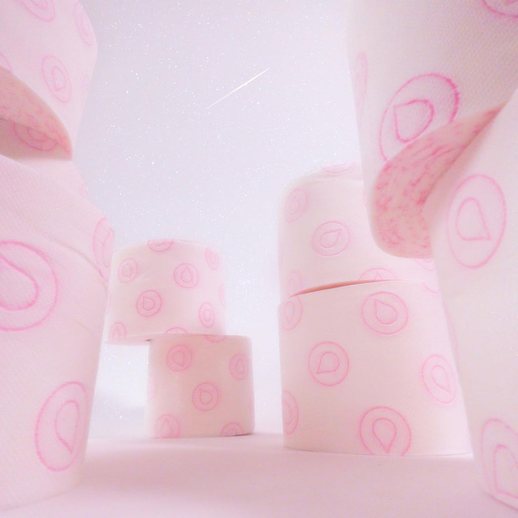 Renova - Hârtie igienică Skin Care Plus, Decorată, Parfumată - 12 role (Hârtie igienică)