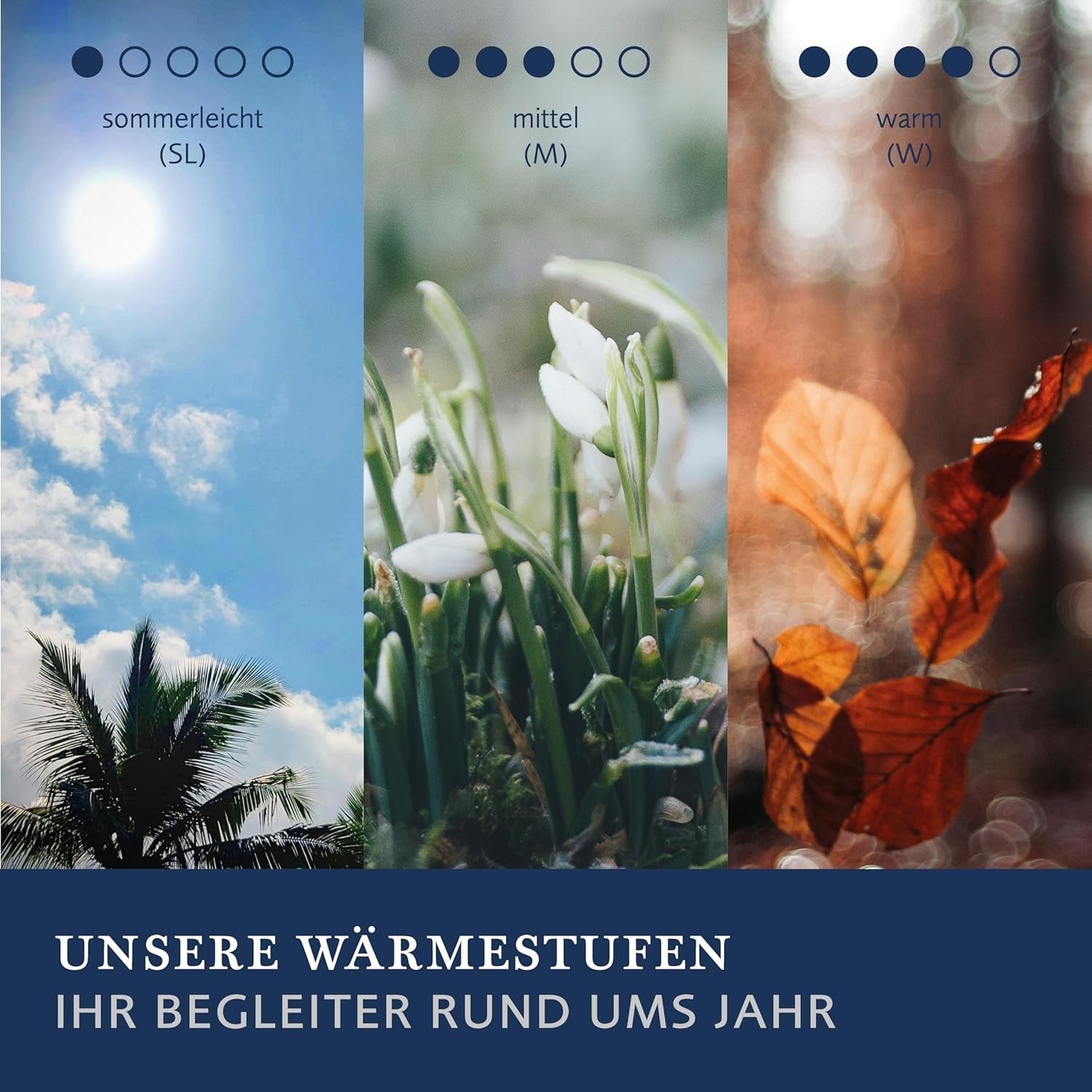 Billerbeck E45 Bamboo quilt - summer quilt - 135 X 200 Cm - cotton quilt, cooling quilt - with bamboo filling, light summer (Sl) Quilts and quilts Naty Shop